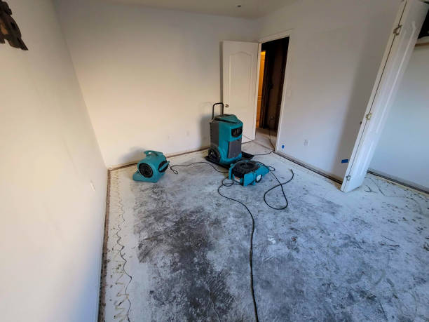 Best Mold removal after water damage  in Eagle, ID