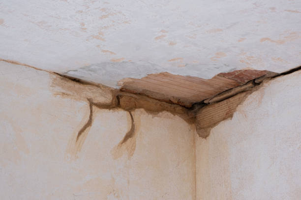 Best Basement water damage restoration  in Eagle, ID