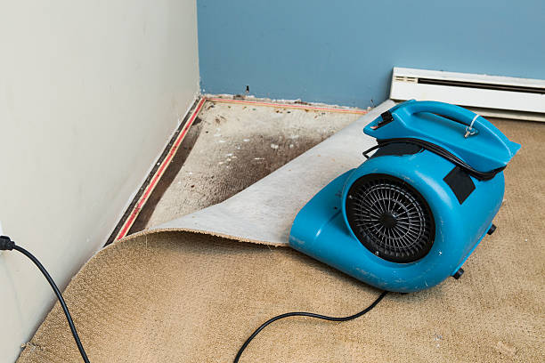 Best Emergency water damage restoration  in Eagle, ID